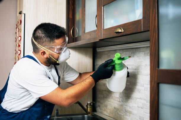 Best Best Pest Control Companies  in Somerdale, NJ